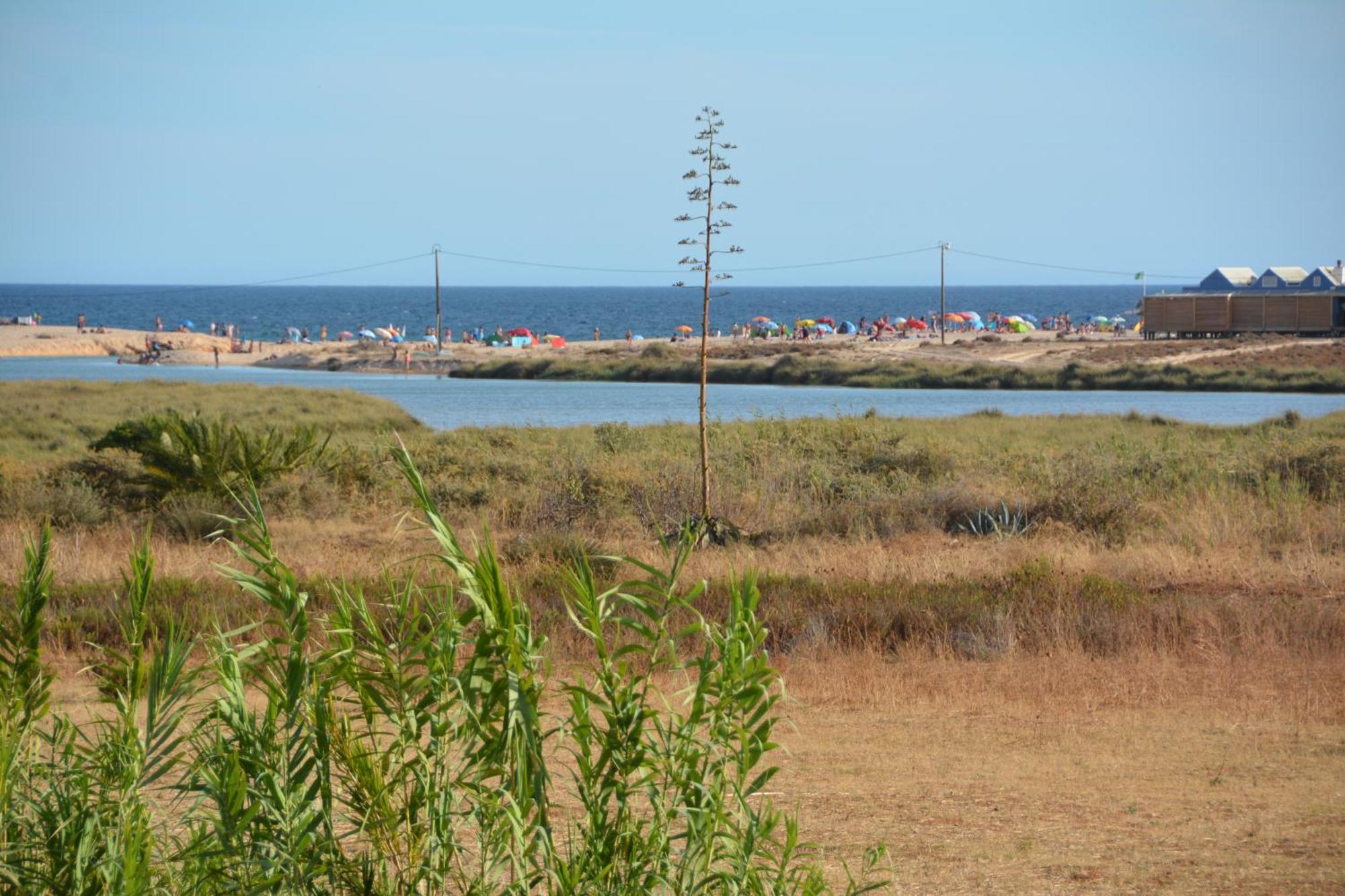 Praia Dria Armação de Pêra Extérieur photo